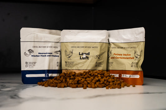 Probierbox Katzen - 12x100g Beutel