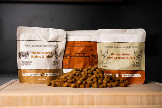 Probierbox Hund - 12x100g Beutel