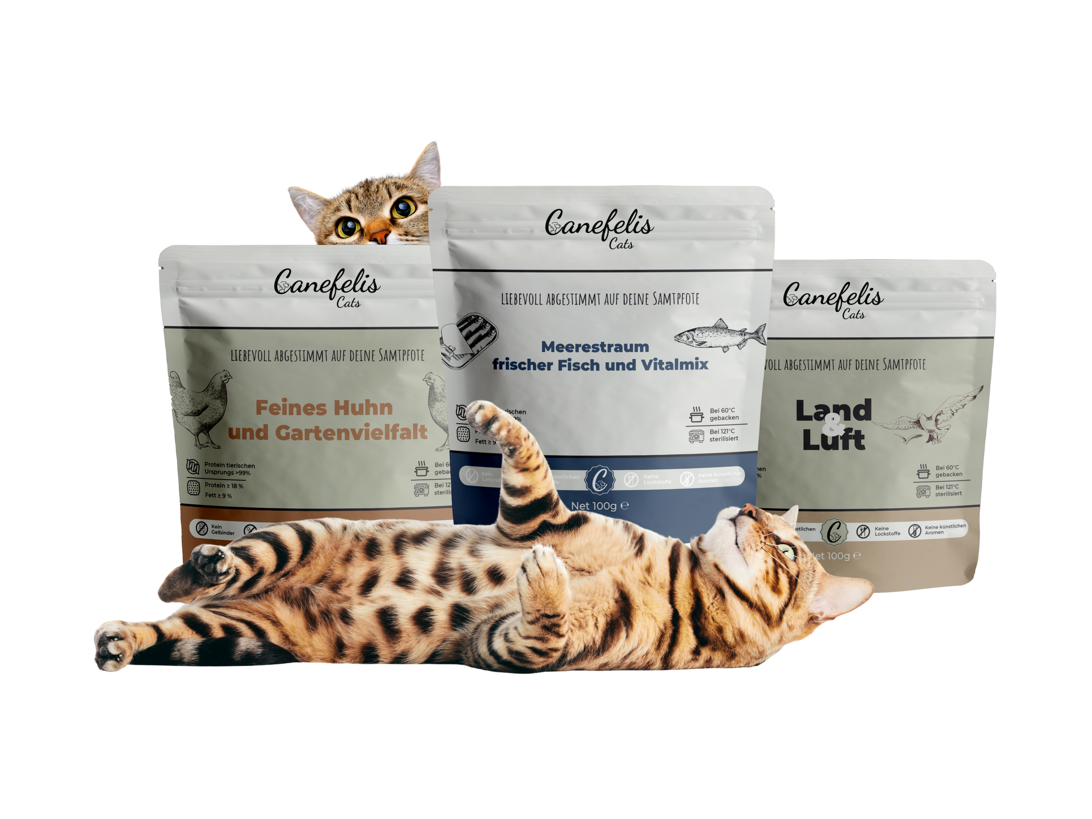 Probierbox Katzen - 4x 100g Beutel