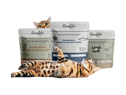 Probierbox Katzen - 4x 100g Beutel