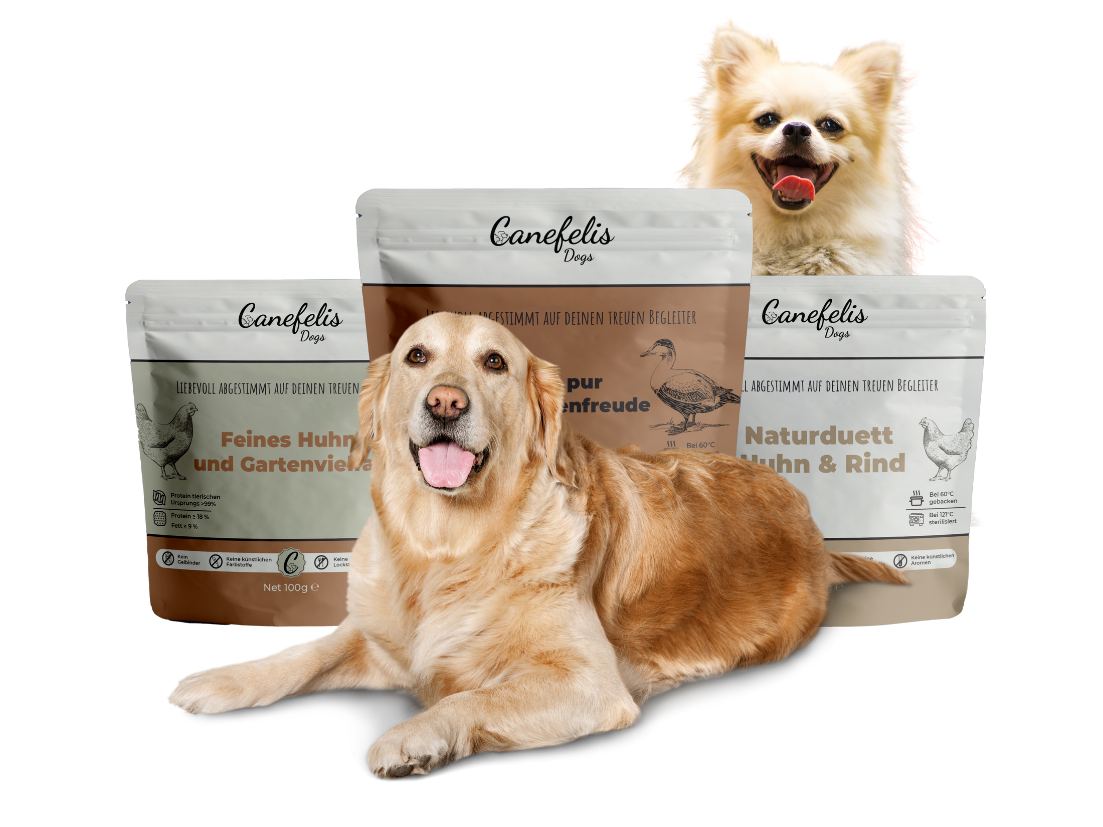 Probierbox Hund - 4x 100g Beutel