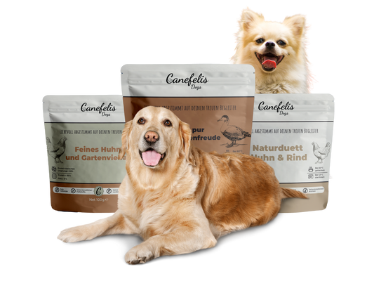 Probierbox Hund - 4x 100g Beutel